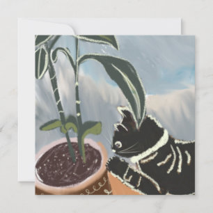 Carte Chat regardant les plantes d'intérieur