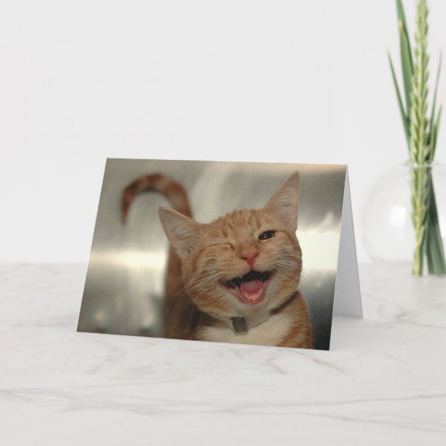 Carte Chat roux clignant joyeux Anniversaire (Devant)