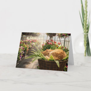 Carte Chat roux d'anniversaire dormant dans un panier de