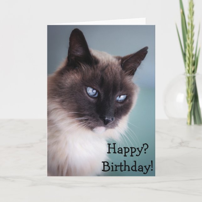 Carte Chat sceptique ou grincheux : Heureux ? Anniversai (Devant)