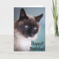 Chat sceptique ou grincheux : Heureux ? Anniversai