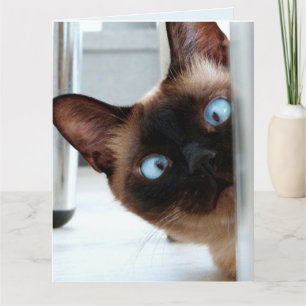 CARTE CHAT SIAMESE CUT QUI PASSE UN JOLI ANNIVERSAIRE !