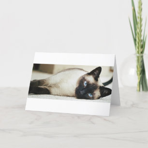 Carte Chat siamois