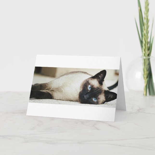 Carte Chat siamois (Devant)