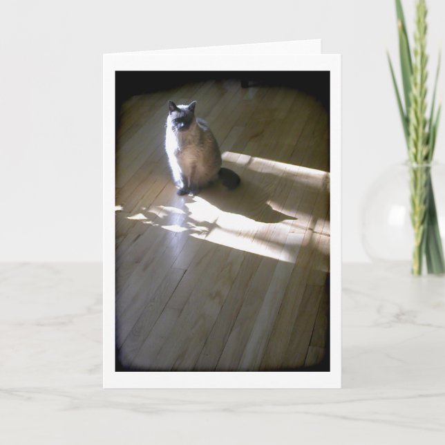 Carte Chat siamois à pointe lavande au soleil (Devant)