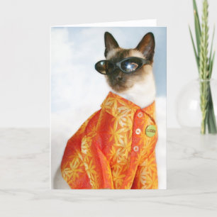 Carte Chat siamois aux nuances