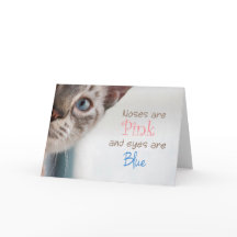 Chat siamois avec le jour de mère rose de nez