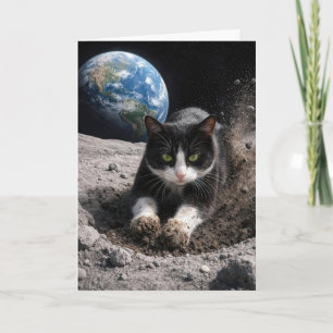 Carte Chat smoking à la naissance creusant un cratère lu