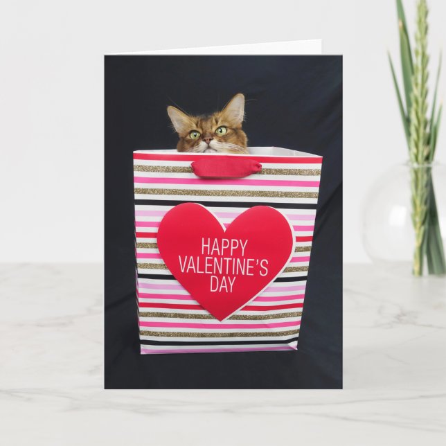 Carte Chat Somali dans un sac de la Saint-Valentin heure (Devant)