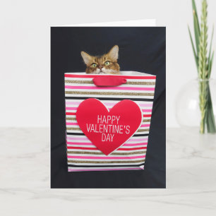 Carte Chat somalien dans un sac Heureuse Sainte-Valentin