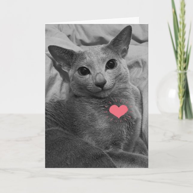Carte Chat souriant Valentine (Devant)