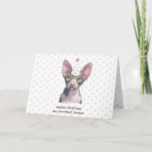 Carte Chat Sphynx avec Chapeau de Fête
