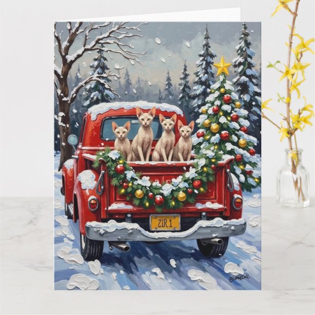 Carte Chat Sphynx Noël Camion Rouge Fêtes (Fleur jaune)