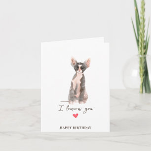Carte Chat Sphynx Rose Gris Coeur Chien Animaux Fête d'a