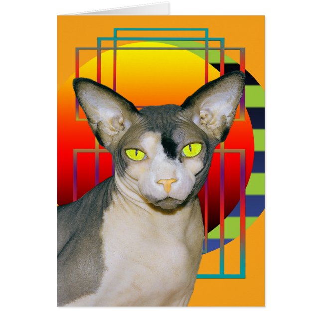 Carte | Chat Sphynx Vamp (Orange) (Devant)