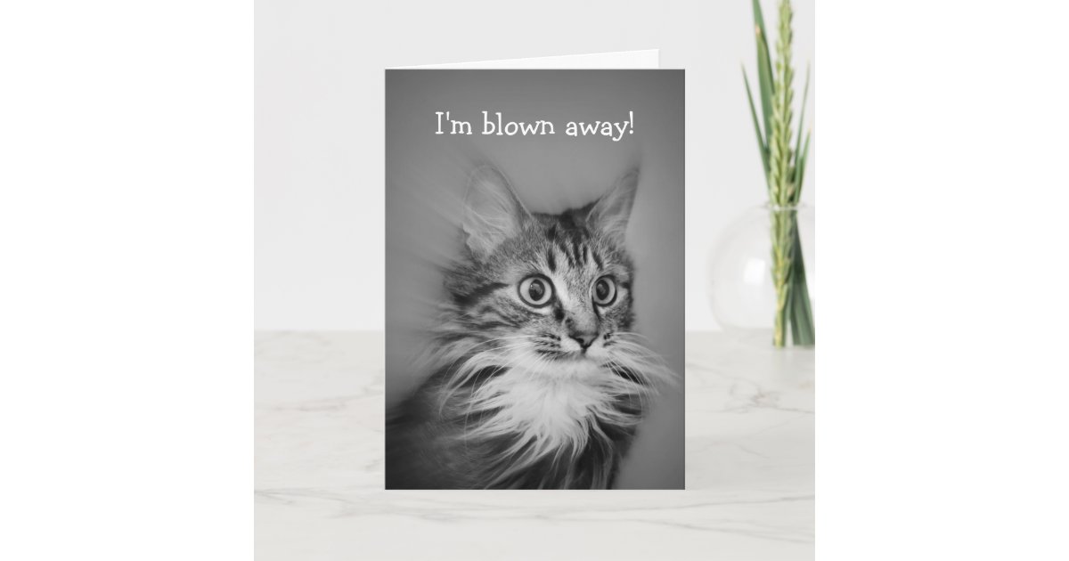 Carte Chat Stupefait De Joyeux Anniversaire Avec Le Cou Zazzle Fr