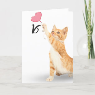 Carte chat tabby 16e anniversaire