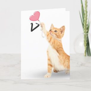 Carte chat tabby 17e anniversaire