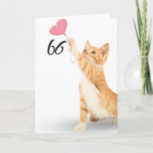 Carte chat tabby 66e anniversaire