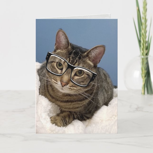 Carte chat tabby avec lunettes (Devant)