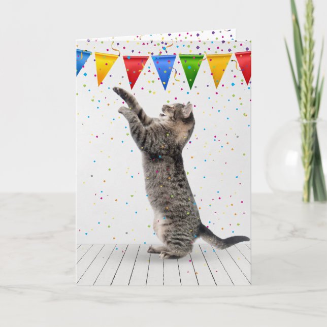 Carte Chat tabby gris d'anniversaire dans les confettis (Devant)