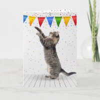 Chat tabby gris d'anniversaire dans les confettis