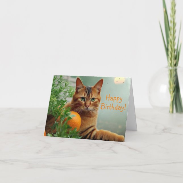 Carte Chat Tabby Orange (Devant)