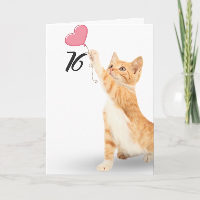 Carte chat tabby pour 76e anniversaire (Devant)