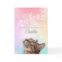 Chat Tacheté Brun Arc-en-Ciel Papillons Mémorial d