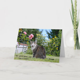 Cartes Humoristique Chat D Anniversaire Zazzle Fr