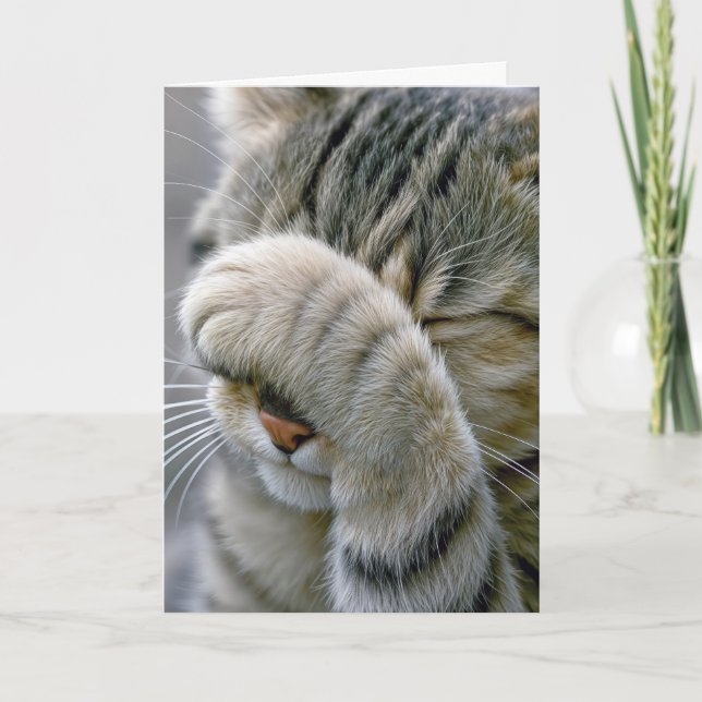 Carte Chat tigré gris d'anniversaire tardif (Devant)