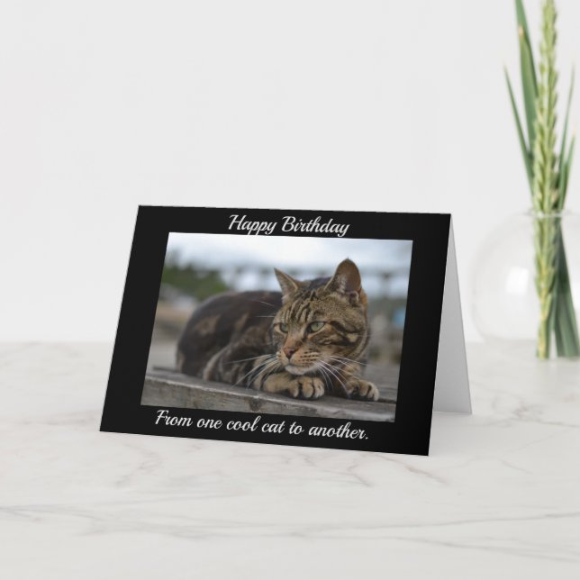 Carte Chat tigré prêt à l'action (Devant)