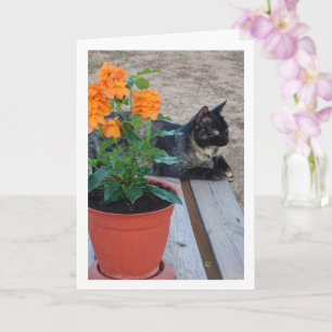 Carte Chat Tortoiseshell avec Fleurs de Pancre
