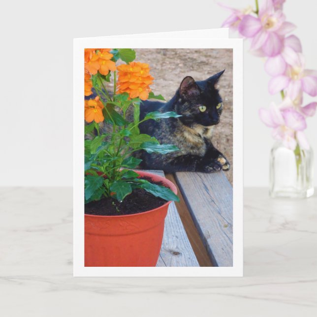 Carte Chat Tortoiseshell avec Fleurs de Pancre (Orchidée)