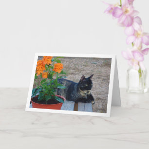 Carte Chat Tortoiseshell avec Fleurs de Pancre