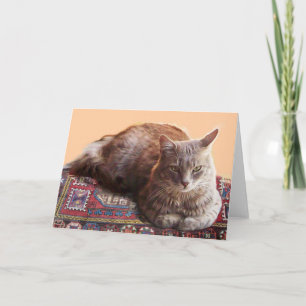 CARTE CHAT TURC ASSIS SUR LE VIEUX TAPIS