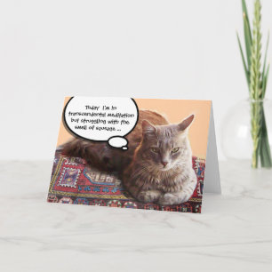 CARTE CHAT TURC EN MÉDITATION TRANSCENDANTALE