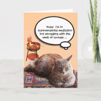 CHAT TURQUE EN MÉDITATION TRANSCENDENTALE
