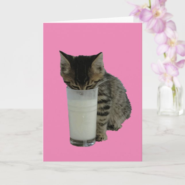 Carte Chat volant du lait d'un verre (Orchidée)