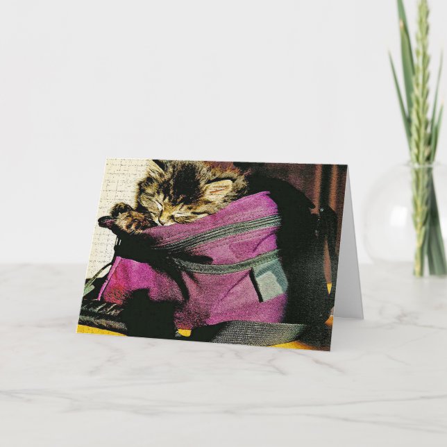 Carte Chaton À Dormir Dans Le Porte Mlle Vous Personnali (Devant)