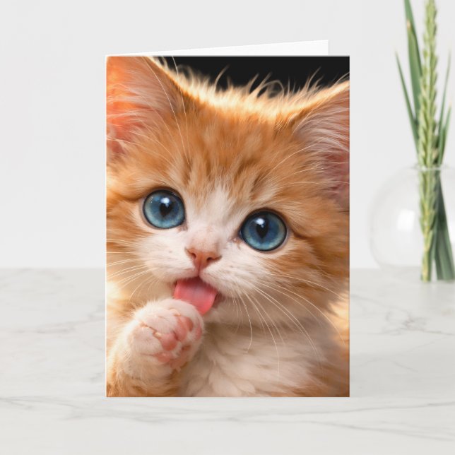 Carte Chaton aux yeux bleus se léchant la patte (Devant)