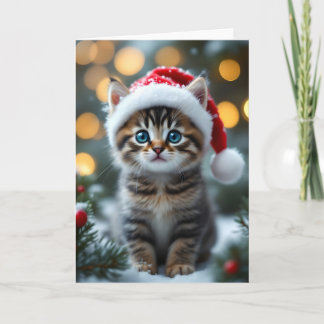 Carte Chaton avec un bonnet de Noël rouge