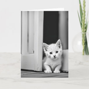 Carte Chaton Blanc Anniversaire à la porte