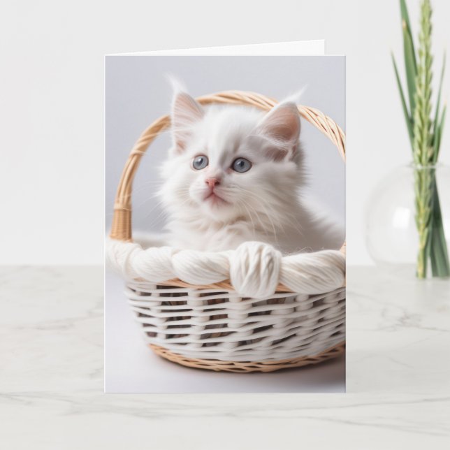 Carte Chaton blanc dans le panier pour penser à vous (Devant)