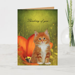 Carte Chaton Chat Blanc Fleurs "Pensant à toi"