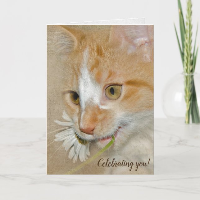 Carte chaton d'anniversaire avec marguerite (Devant)