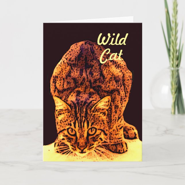 CARTE CHATON DE CHAT SAUVAGE (Devant)