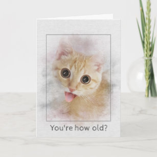 Cartes Humoristique Chat D Anniversaire Zazzle Fr