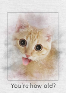 Invitations Faire Part Cartes Joyeux Anniversaire Chaton Zazzle Fr