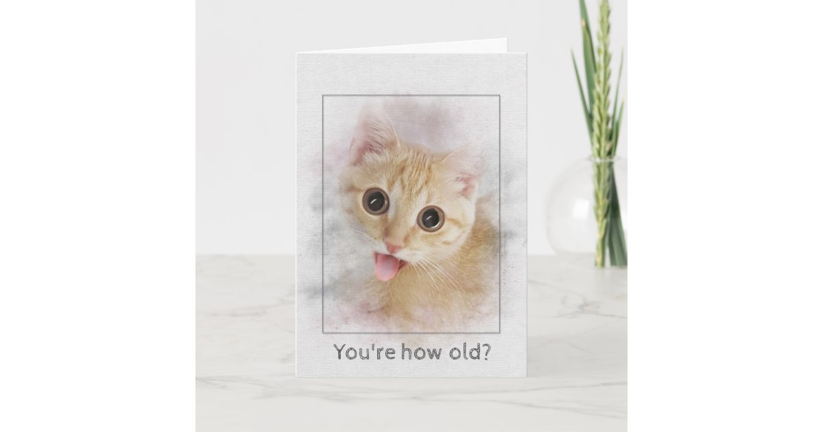 Carte Chaton De Chat Tigre D Anniversaire Zazzle Fr